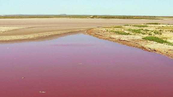 rouge - Etats-Unis : l’eau d’un lac texan vire rouge sang L_eau-d_un-lac-texan-vire-rouge-sang