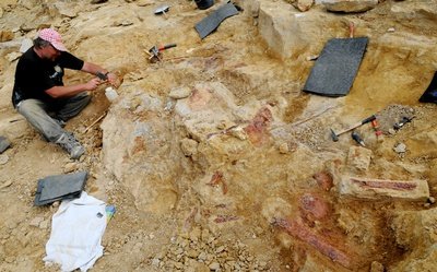 Un nouveau type de dinosaure découvert près d'Aix-en-Provence Un-nouveau-type-de-dinosaure-dc3a9couvert-prc3a8s-daix-en-provence