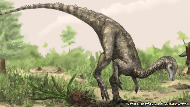Le plus vieux dinosaure a peut-être été découvert en Tanzanie Nyasasaurus-parringtoni