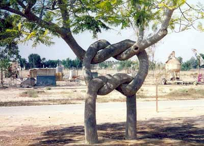 Les créations d’un sculpteur d’arbres 113