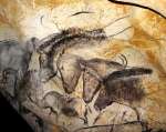 La Grotte Chauvet : l’art pariétal dans toute sa splendeur (galerie et vidéo) By Jack35 4-1