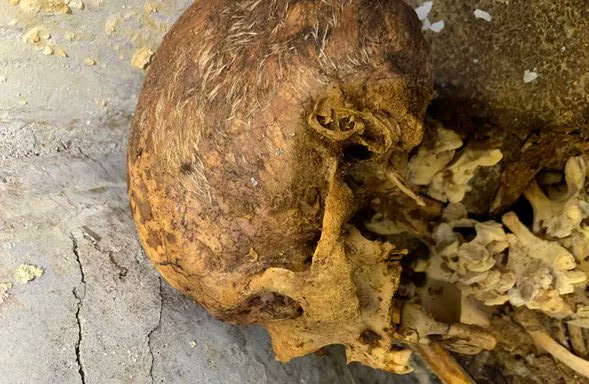Une momie chevelue découverte dans les ruines de Pompéi (vidéo) By Jack35 1-49