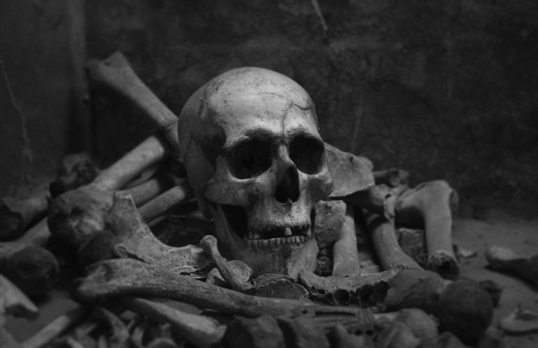 Indonésie : l’ADN d’un squelette révèle un groupe humain encore inconnu jusqu’ici (diaporama et vidéo) By Jack35 1-78