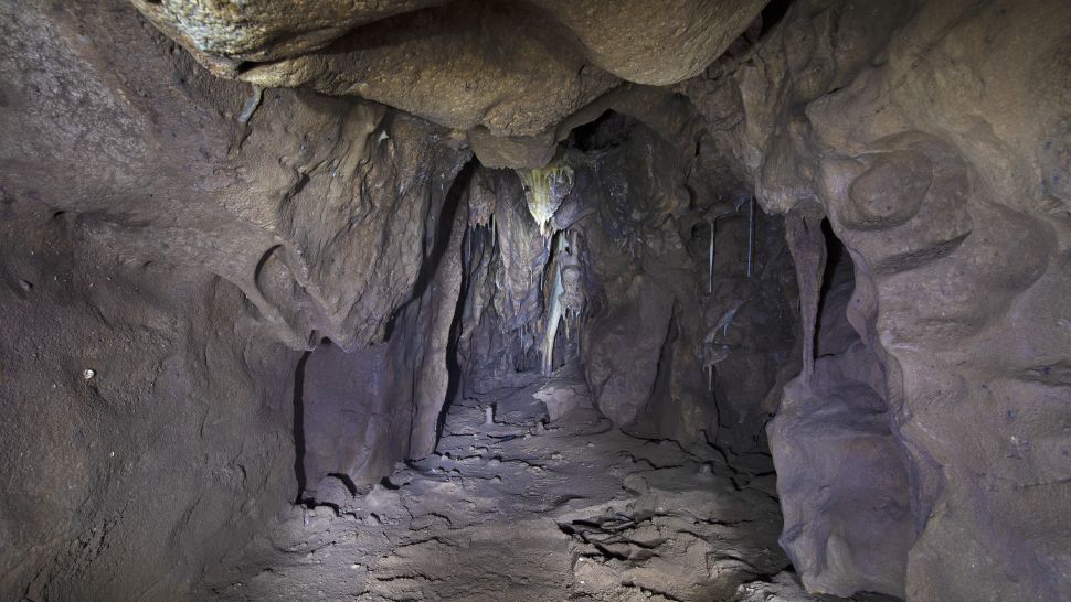 La chambre secrète de la grotte pourrait être l’une des dernières cachettes de Néandertal (vidéo) By Jack35 1-92