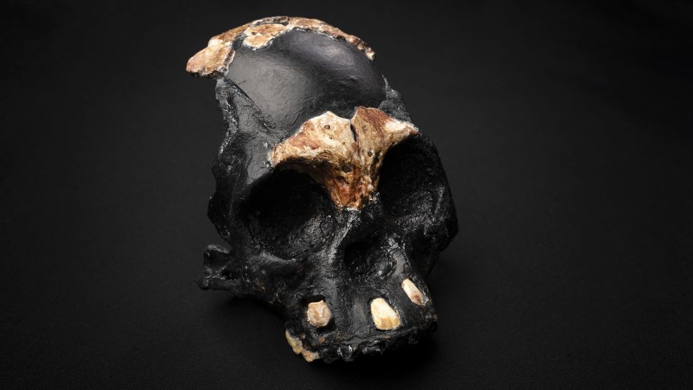 Un ancêtre humain de 240 000 ans « l’enfant des ténèbres » découvert dans un passage étroit dans une grotte (vidéo) By Jack35 1-22