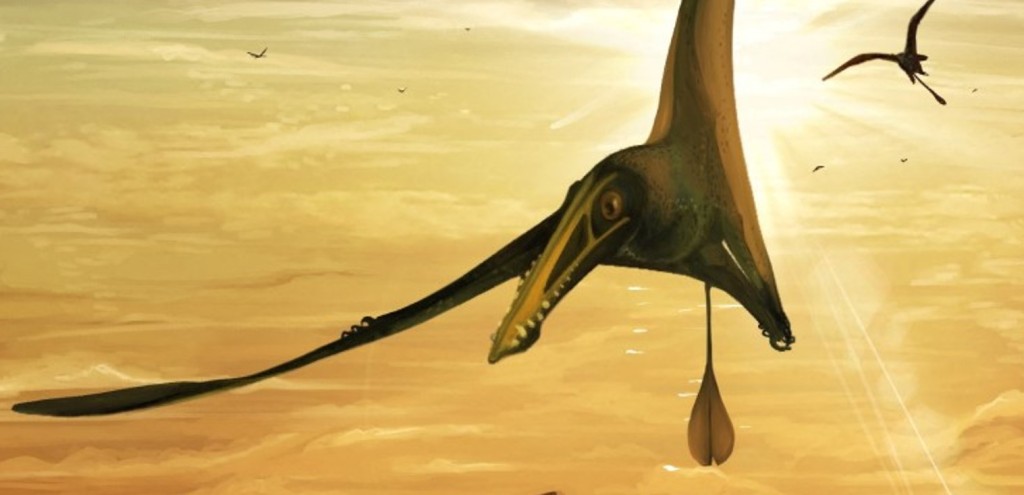 Le plus grand ptérosaure du Jurassique jamais enregistré a été découvert en Écosse (vidéo) By Jack35  1-57