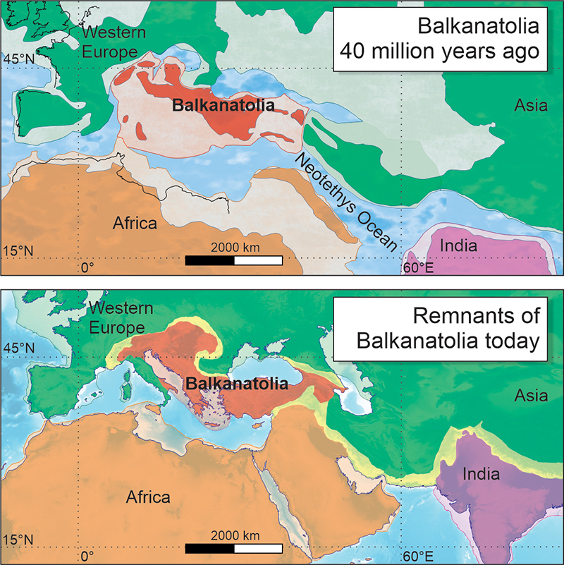 Balkanatolia : le continent oublié qui éclaire sur l’évolution des mammifères (vidéo) By Jack35 1-72