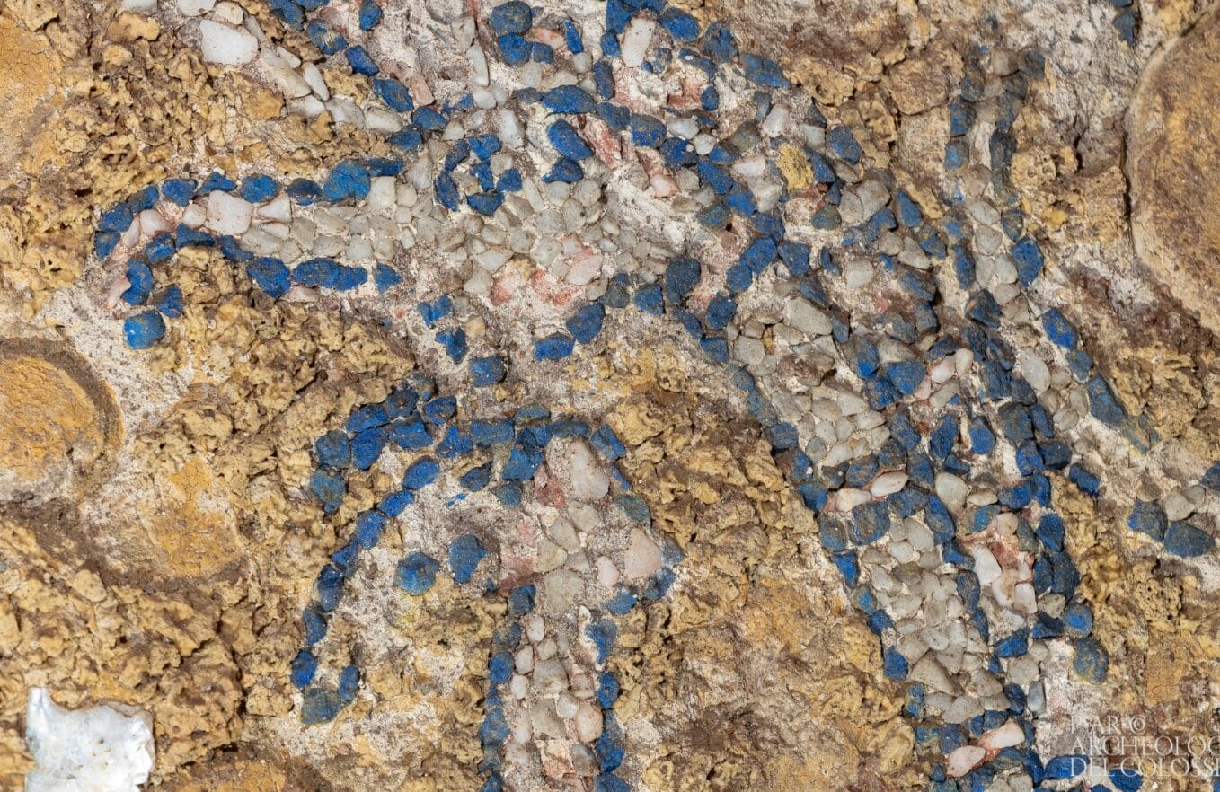 Des archéologues découvrent une extraordinaire mosaïque vieille de 2 100 ans (galerie et vidéo) By Jack35 6-1